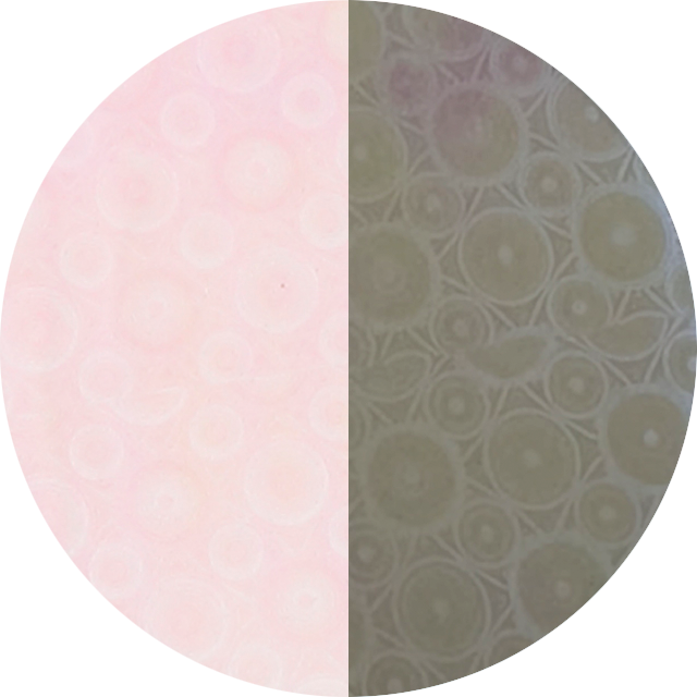 オーロラサークル