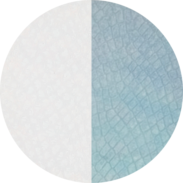 オーロラ玄武模様